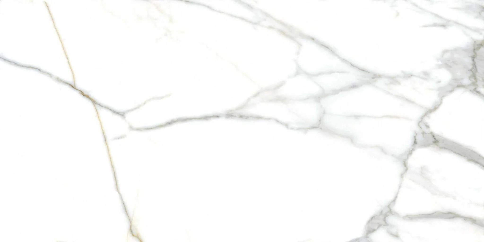 LET-60120-002-CR